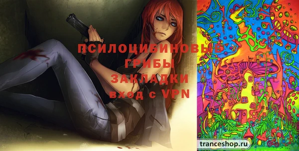 ешки Арсеньев