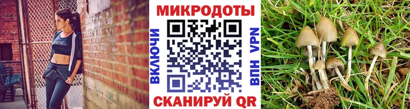 где купить наркоту  Талица  Псилоцибиновые грибы мицелий 